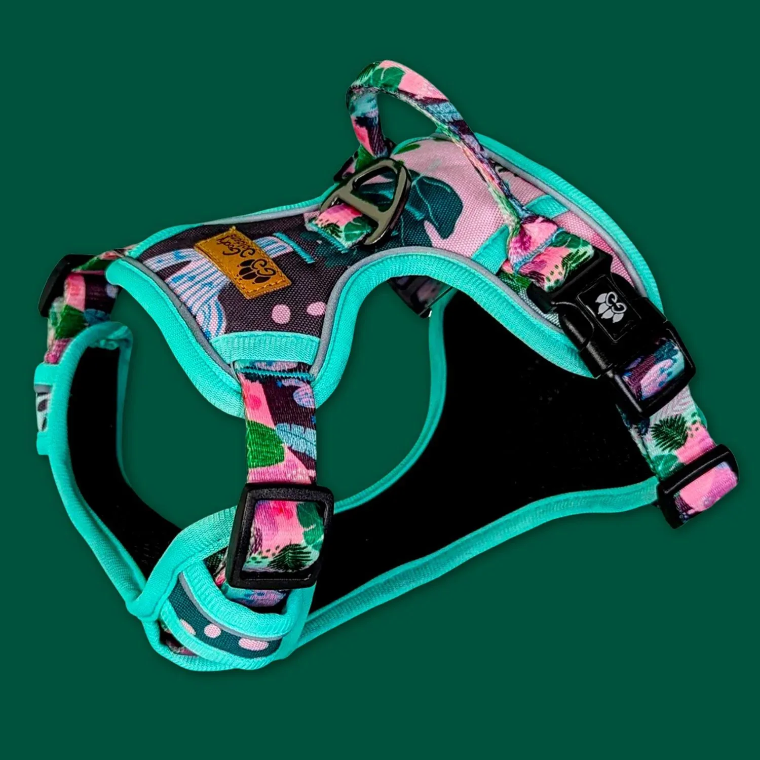 Harnais, laisses et colliers originaux : le guide