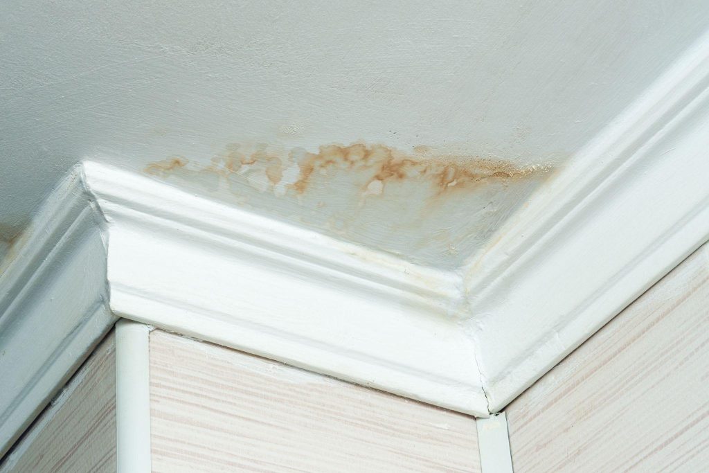 Infiltration d'eau invisible : comment la repérer dans une maison en Bretagne